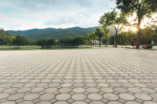 Best Driveway Pavers Near Me  in Collins, MS