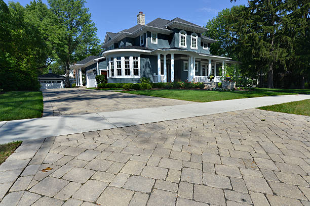 Best Driveway Paving Contractor  in Collins, MS