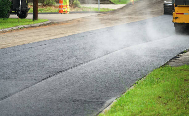 Best Local Driveway Pavers  in Collins, MS